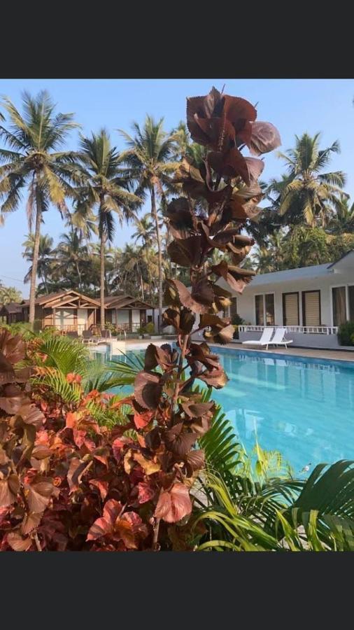Golden Sands Resort, Морджим Экстерьер фото